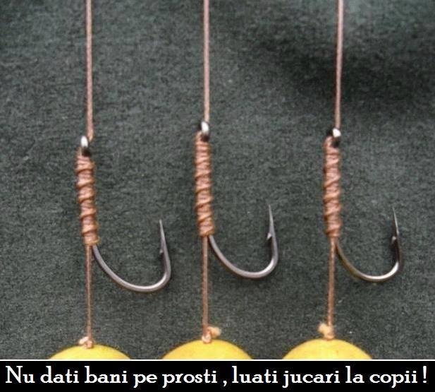 carpbook - 12340591420284934854183952496764n.jpg